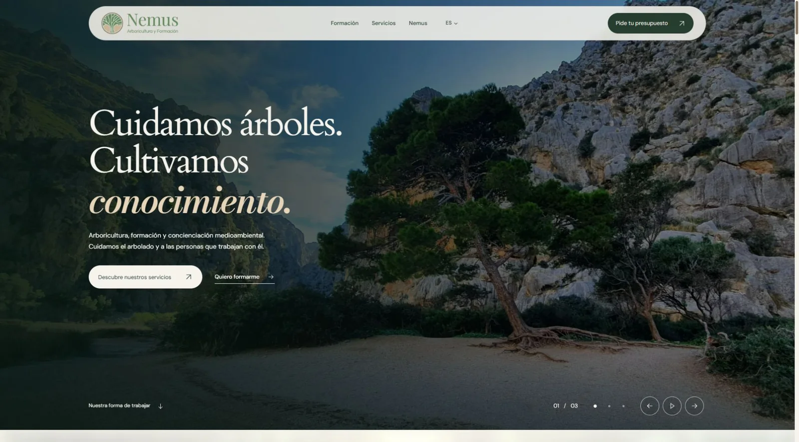 Captura de la nueva web de Nemus Arboricultura, con arbolado y servicios de formación.